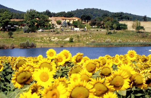 Casole d'Elsa Villa | Belvilla by OYO Selvatello Villino Trilo