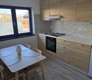 Alba Iulia House | Benchea's House