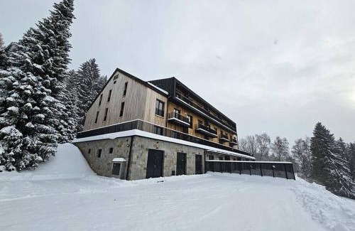 Benecko Apartment | Benecko s možností wellness - A30 by AlkaTravel