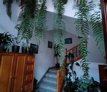 San Andres y Sauces Apartment | Bernal I, II y III