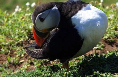 Manorbier Apartment | Bespoke Wood Eco Cabin in Manorbier on the Pembrokeshire Coast.