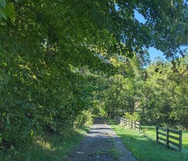Eagle Rock House | Best of both worlds, private yet convenient, 25 mins to Clifton forge, 30 mins to Roanoke