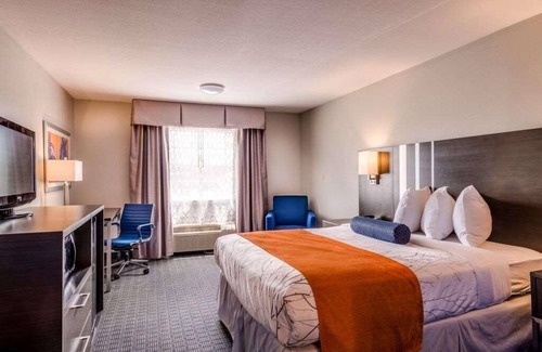 Lexington Hotel | Best Place to Stay in Kentucky! Free Parking, Free Breakfast, Pool