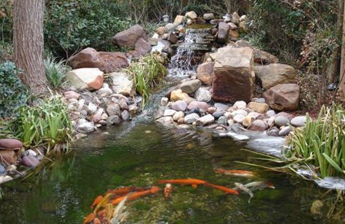 Glen Rose Hotel | Best Western Dinosaur Valley Inn & Suites