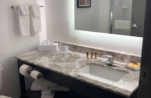 Isanti Hotel | Best Western Plus Isanti