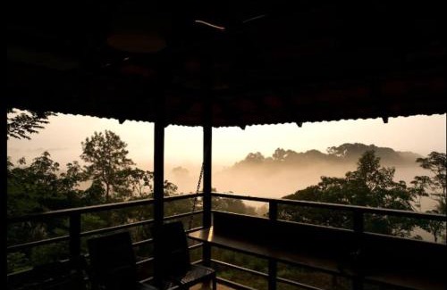 Mananthavady Resort | Bhuvi Wayanad Natural Tea Plantation Resort - Different Activity Packages available to make your stay a memorable one