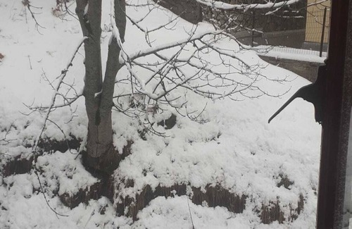 Pian De' Valli Apartment | Bi's house (formerly Pata House)