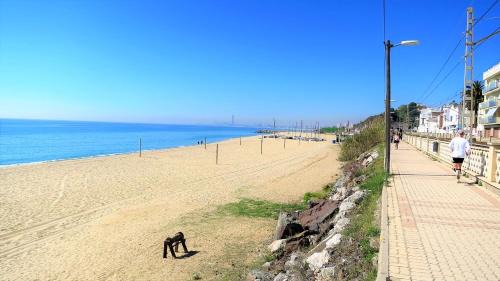 Montgat Apartment | Bianca Seaview & Beach Apartment