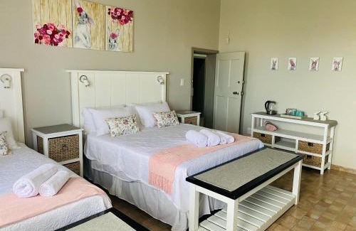 Ngaka Modiri Molema House | Biekiesvlei