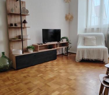 Colmar Centre Ville Apartment | Bienvenue à Ecureuil dans le Centre Historique de Colmar