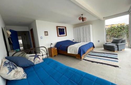 Totoralillo House | BIG SOTO HAUS