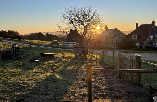 Shorwell Cottage | Bike Shed, 1-Bed Cottage, Sleeps 2, Pet Friendly