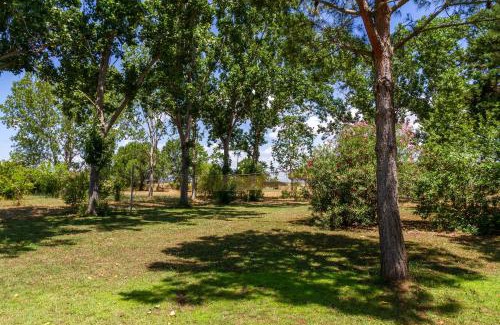 Grosseto House | Bilo Camelia