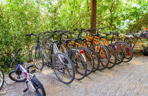 Grosseto House | Bilo Camelia