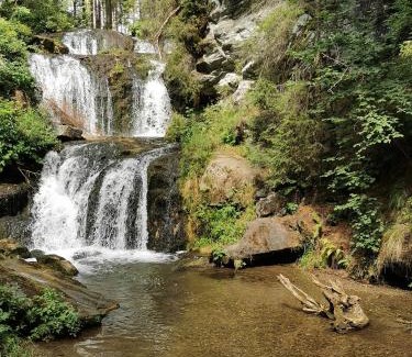 Zeutschach House | Biohof Gölly