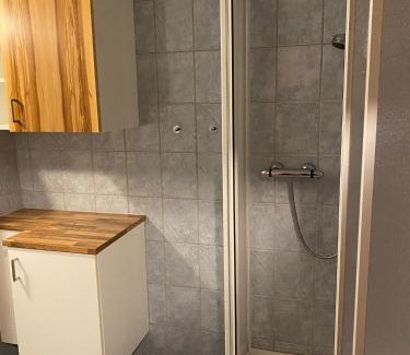 Sankt Jakob im Walde Apartment | Biohof Kroisleitner Ferienwohnung Abendsonne