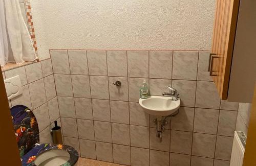 Sankt Jakob im Walde Apartment | Biohof Kroisleitner Ferienwohnung Abendsonne