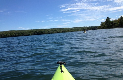 Interlochen House | Bird Lover's Paradise on Duck Lake in Interlochen
