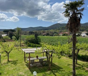 Castiglione della Pescaia House | Bivio di punta ala