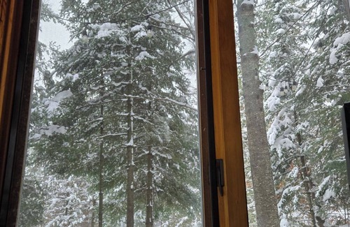 Frederic Cabin | Black Bear Lodge: Crisp Air, Cozy Nights – Fall at Black Bear Lodge is Unforgettable