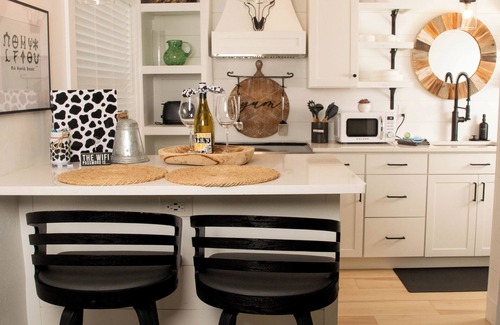 Fort Myers River District House | Black Brindle Bungalow, Downtown Ft. Myers: Walk to Best Eats and Shops!