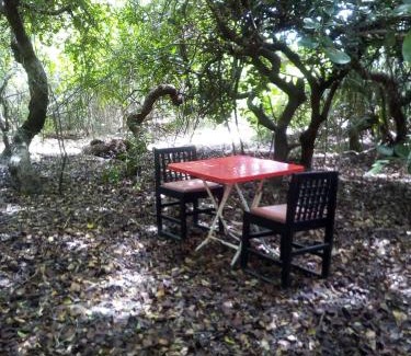Kumpurupiddi Hotel | Black Forest Beach Resort