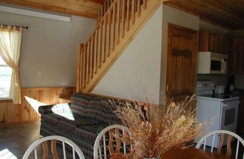 Hill City Cabin | Black Hills Forest Edge Cabin