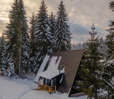 Toplita Ski Chalet | Black Raven Cabin