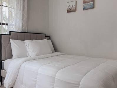 Port Malabar House | Blisscapade Pool Movie Theater Games Backyard