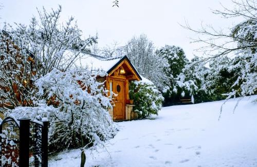 Golondrinas Ski Chalet | Blue Bird House