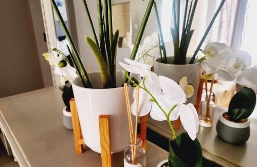 Moreleta Park Apartment | Blue Button