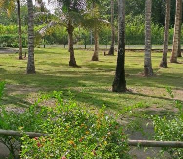 Grand-Bourg Hotel | Blue dream Hamaca