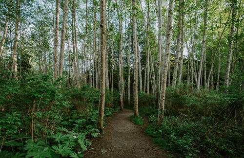 Halfmoon Bay House | Blue Heron House