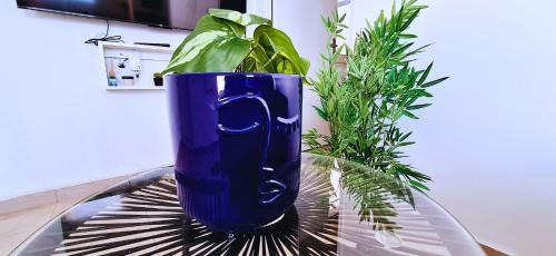 Anse-Bertrand House | Blue Lagoon - Piscine & Sérénité