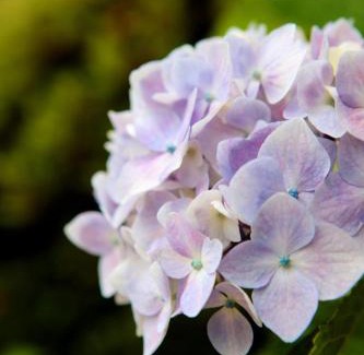 Seogwipo City House | Blue Sea Pension