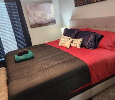 Braeswood Place Apartment | Blue Shark *B542* @ Medical Center Modern 1BR King Apartment