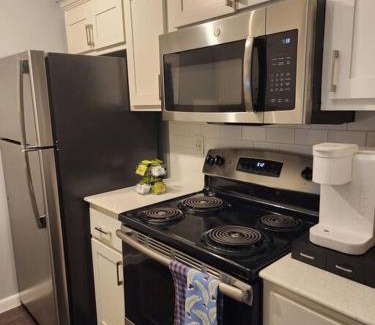 Braeswood Place Apartment | Blue Shark *B542* @ Medical Center Modern 1BR King Apartment