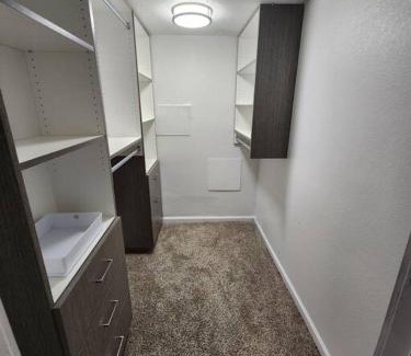 Braeswood Place Apartment | Blue Shark *B542* @ Medical Center Modern 1BR King Apartment