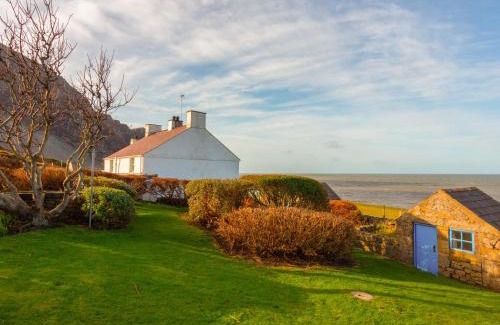 Trefor House | Blue - Uk43119