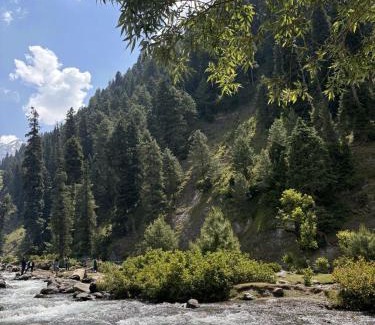 Khyber Pakhtunkhwa Resort | Blue Water Riverside Resort & Fishing Spot Kalam