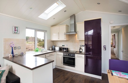 Contin Cabin | Bluebell Lodge - Sleeps 4,Hot Tub, Loch & Woodland