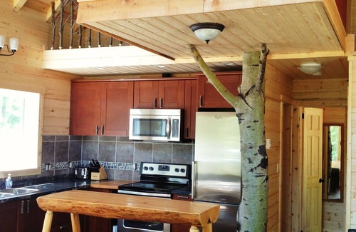 Salmon Arm Ski Chalet | Bluebird Chalet- Chalet One