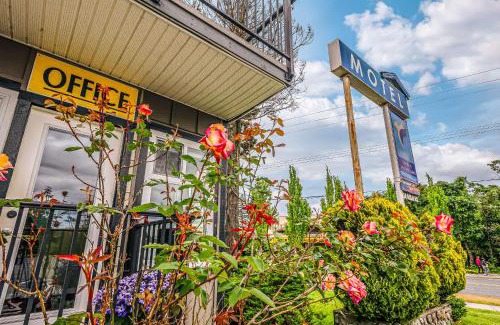 Regional District of Nanaimo Hotel | Bluebird Motel