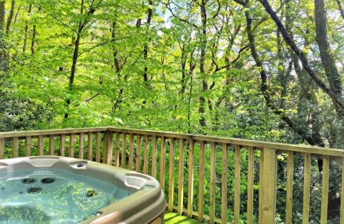 Llanybri Ski Chalet | BlueStone-Hot Tub-Woodlandlodges-Pembrokeshire-Tenby