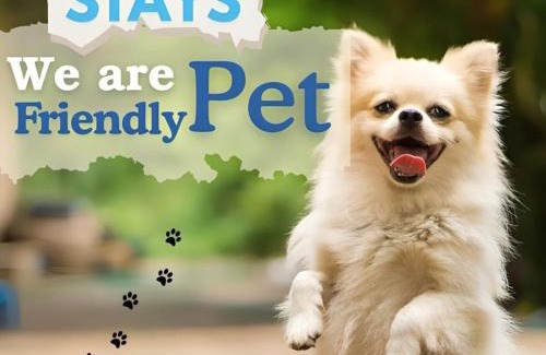 Green Park Apartment | BluO 3BHK Safdarjung Enclave, Lift & Terrace Garden