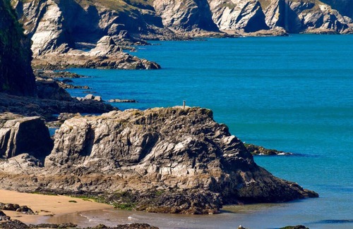 Cardigan House | Bocs Bach ( Little Box)