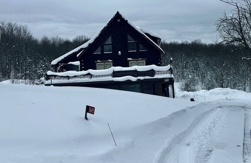 Ellicottville Cabin | Book your SKI trip. 3 bed 2 bath Cabin 7 min to EVL Family Friendly/Fireplace