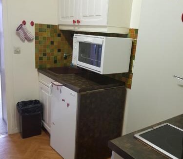 Les Claux Apartment | Boost Your Immo Vars Le Melezen 36