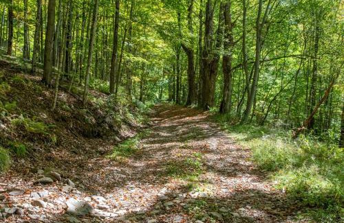 Andes House | Bootleg Hollow