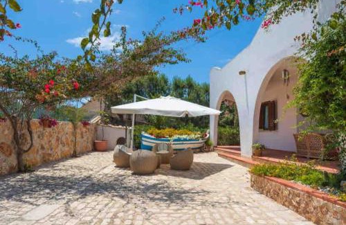 Caucana-finaiti-casuzze-finaiti Nord Villa | BougainVilla